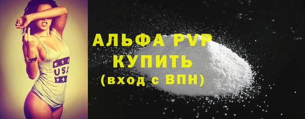 spice Нестеровская