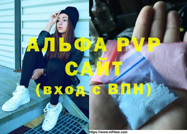 spice Нестеровская