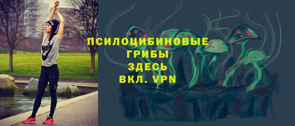spice Нестеровская