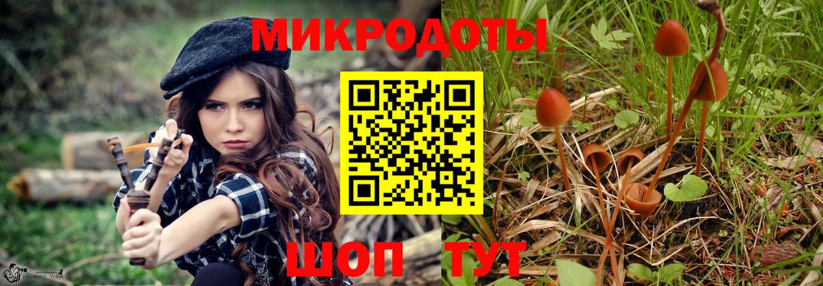 Псилоцибиновые грибы мухоморы  Псилоцибиновые грибы ЛСД  Нефтеюганск  Вход с VPN 